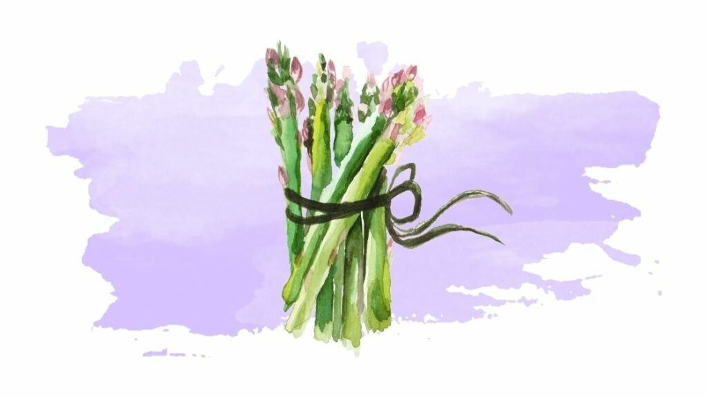 Asparagus Pee Do You have the Gene Variant to Smell It?