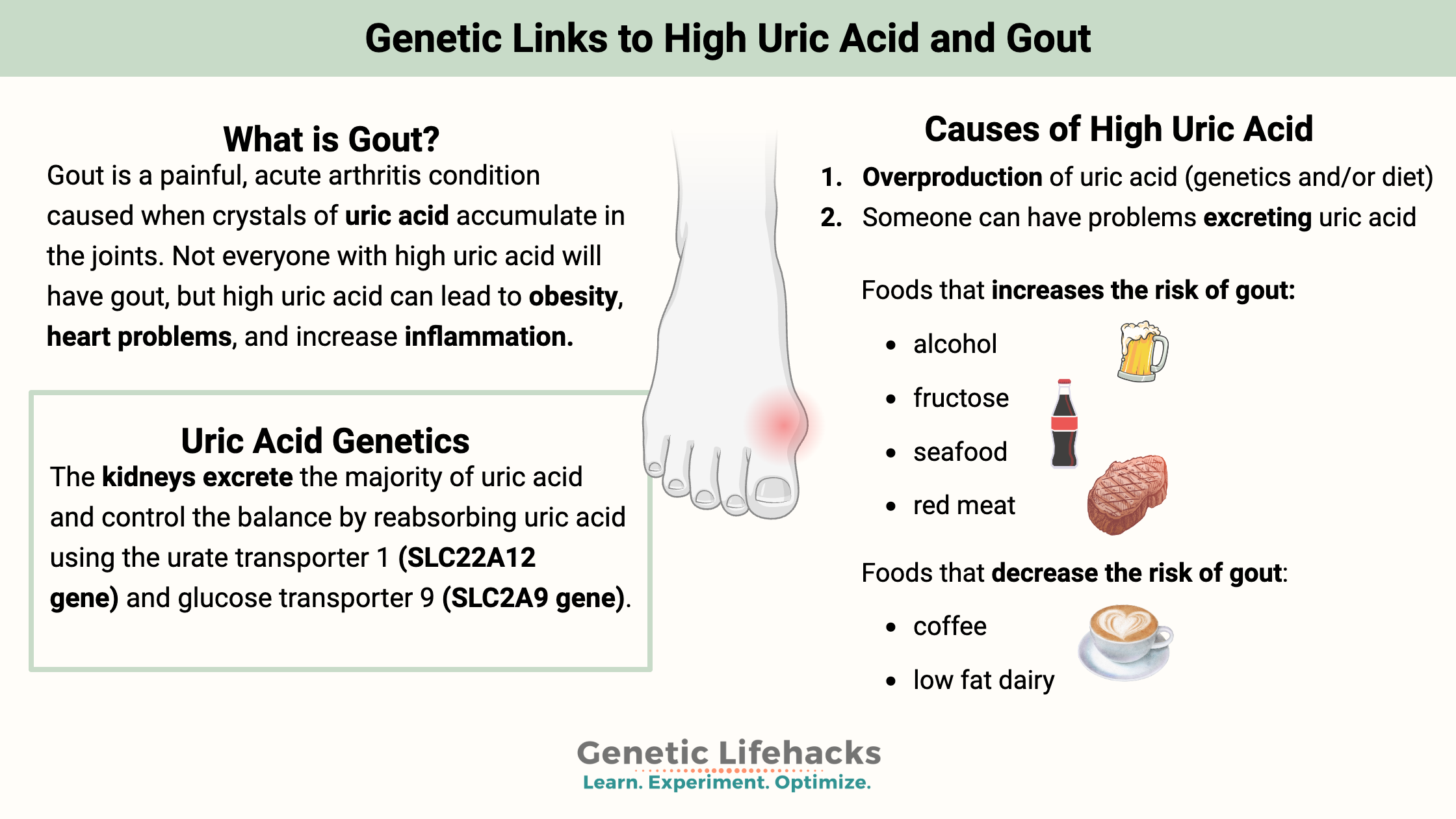 Genetic Links to High Uric Acid and Gout, foods that increase risk of gout