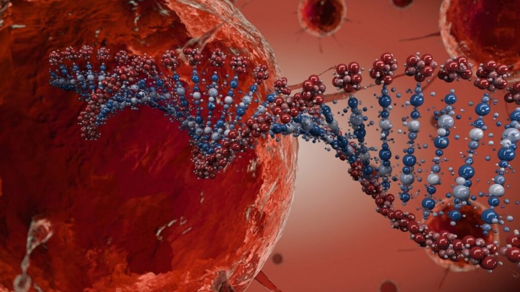genetic disorders of immune system