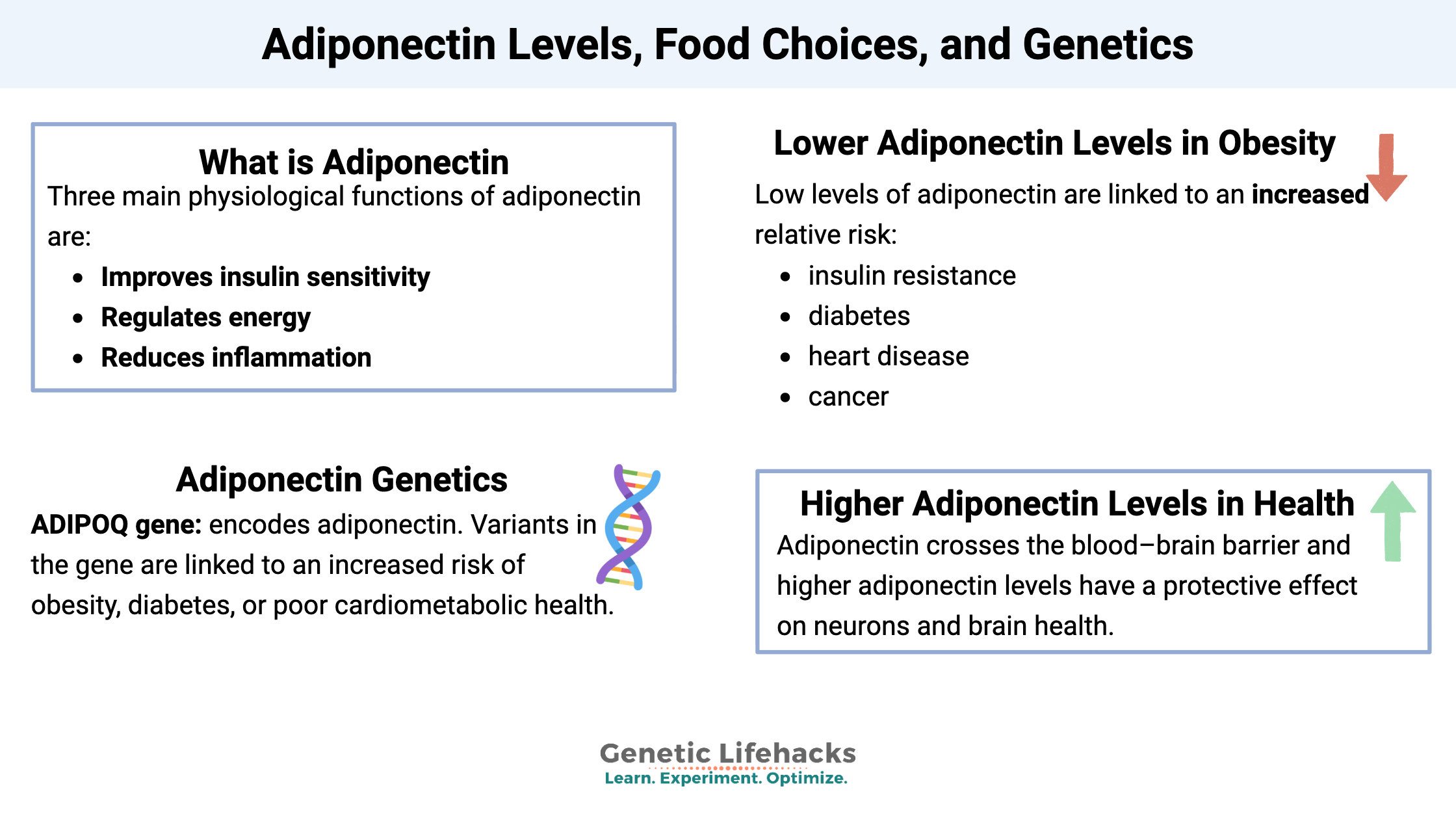 Adiponectin Levels, Food Choices, and Genetics