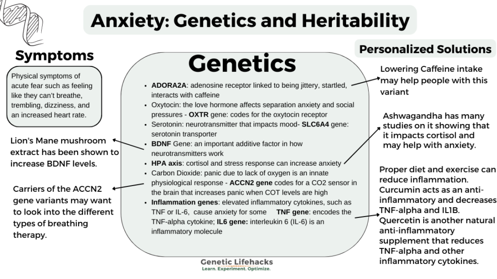 Anxiety heredity, and personalized solutions Lifehacks
