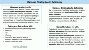 Mannose-Binding Lectin Deficiency genetic causes, pathogens that activate MBL,