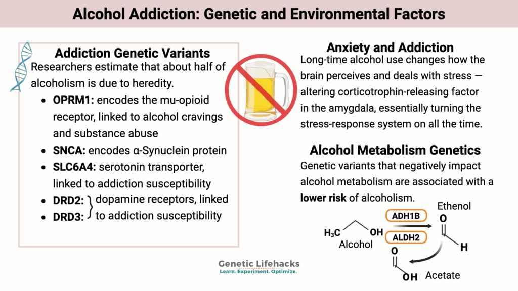 Alcohol Addiction: Genetic and Environmental Factors