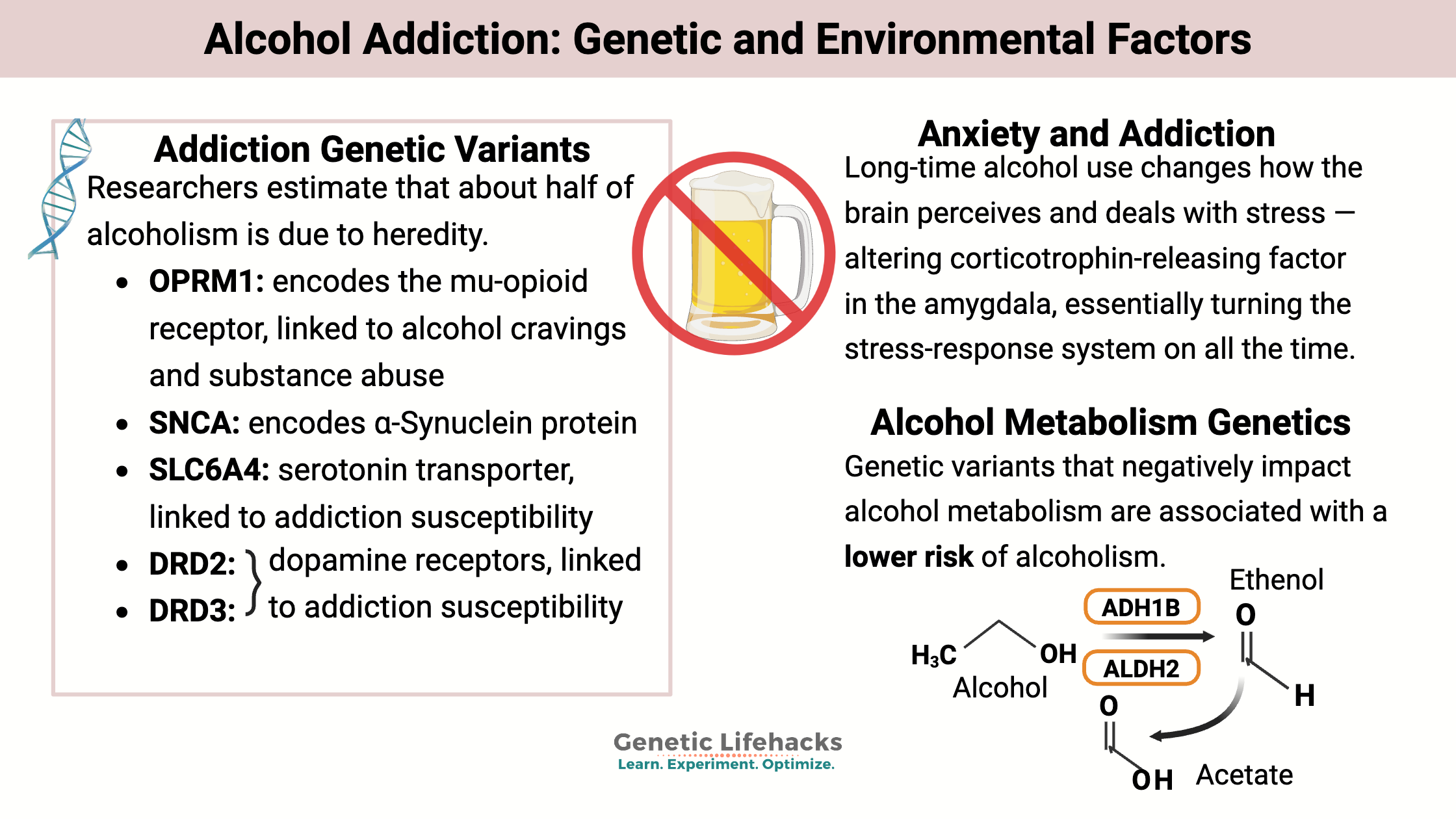 Alcohol Addiction: Genetic and Environmental Factors