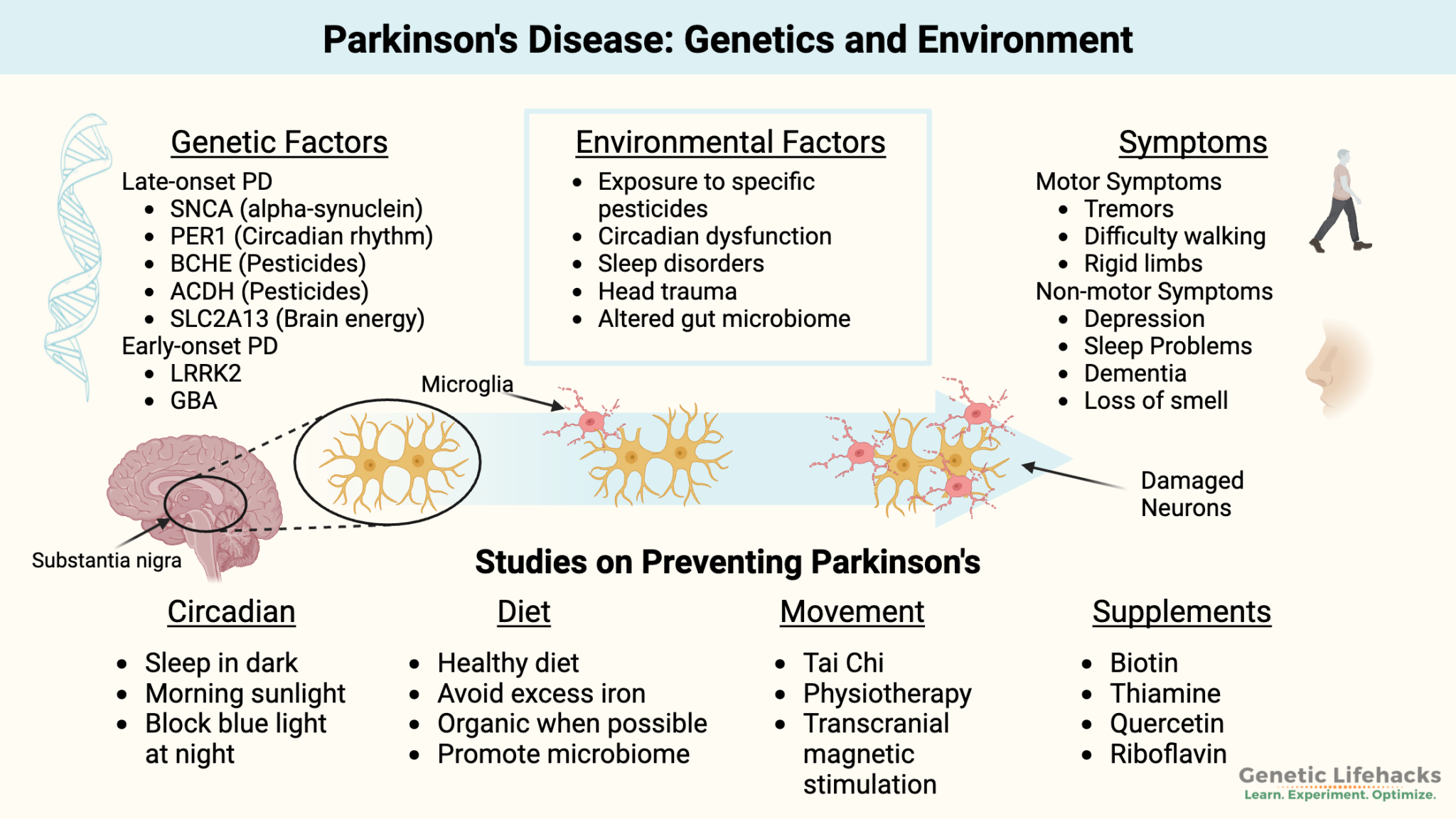 Parkinson's Disease: Genetic Causes and Risk Factors