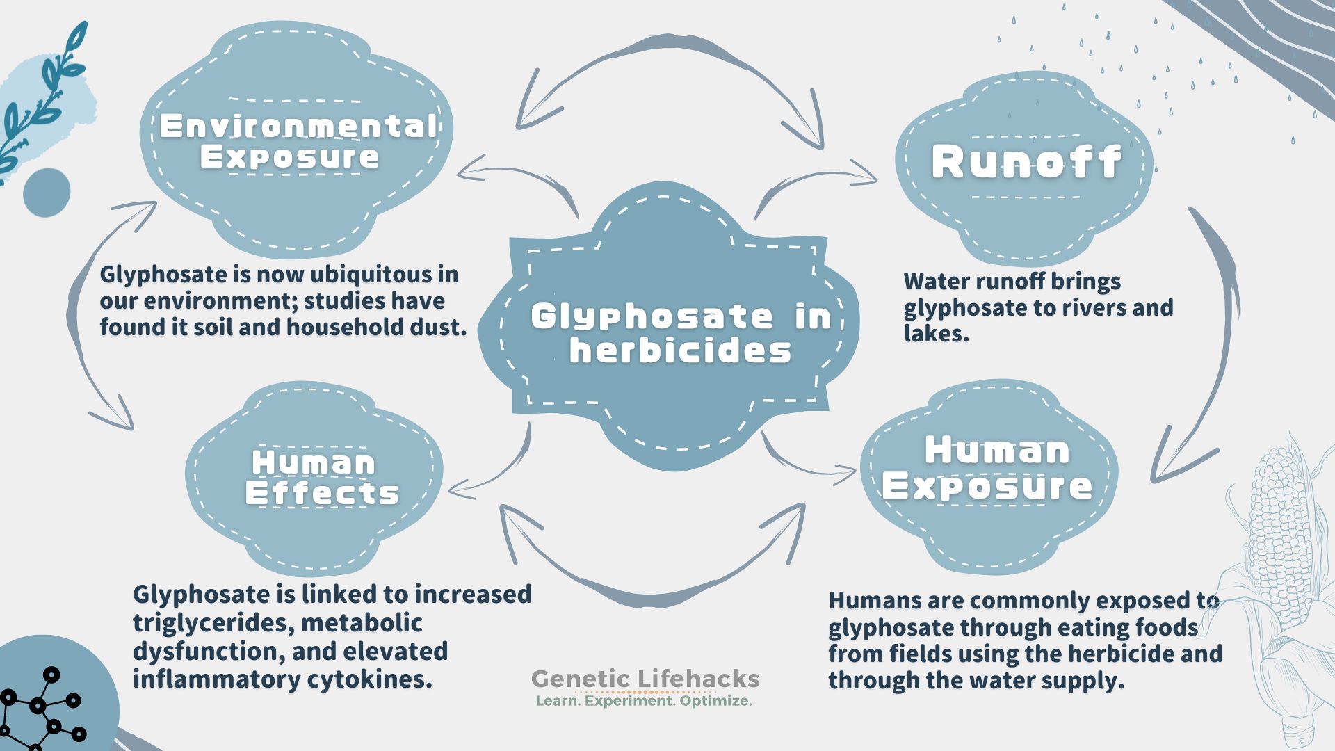 Glyphosate: Chemistry, Uses and Safety Concerns