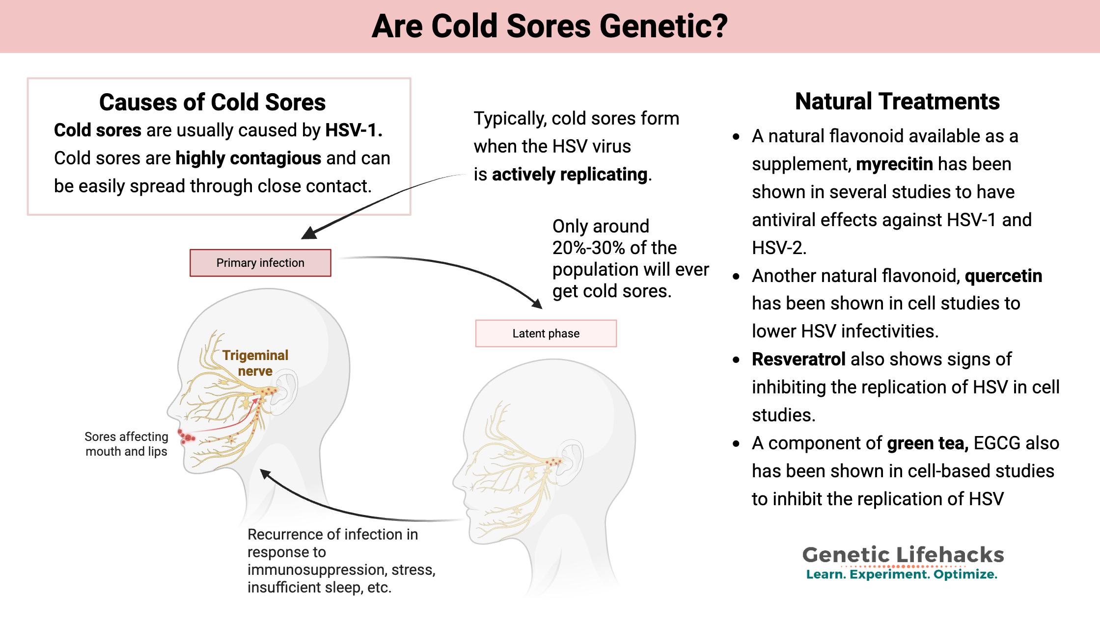 Are Cold Sores Genetic?