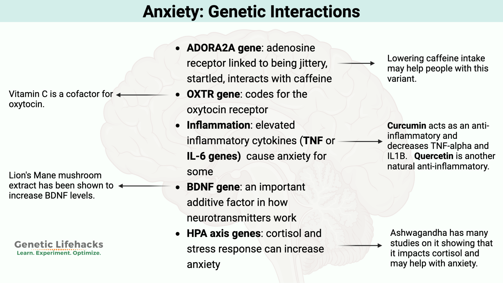 Anxiety: Genetics, heredity, and personalized solutions - Genetic Lifehacks