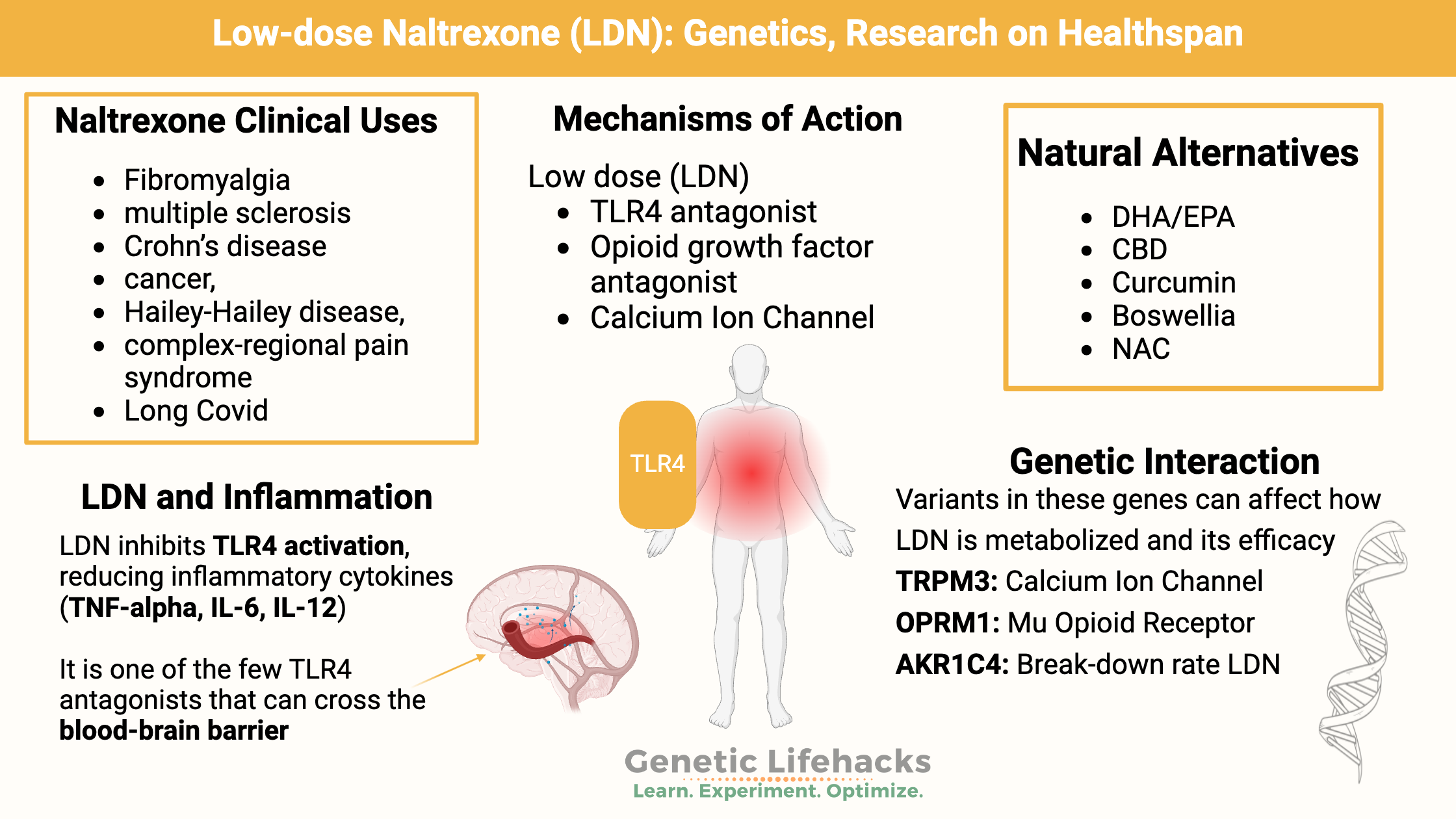 Low-dose naltrexone (LDN) refers to the administration of naltrexone at doses approximately one-tenth of the standard dose used for opioid addiction treatment, typically around 4.5 mg daily. Unlike standard doses that produce sustained opioid receptor blockade, LDN transiently blocks opioid receptors, leading to a paradoxical upregulation of the endogenous opioid system and modulation of immune responses.