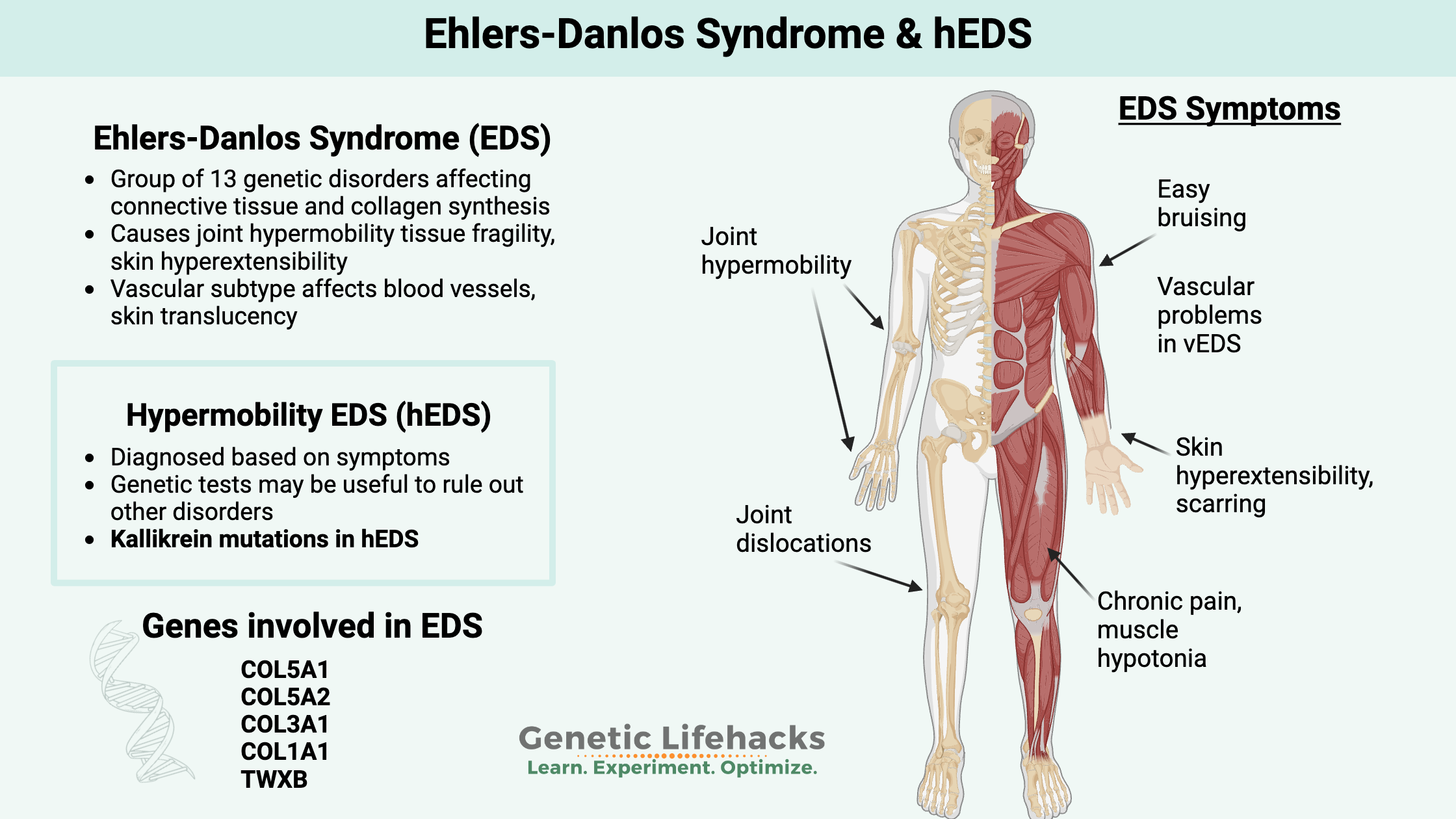 Syndrome D Ehlers Danlos Oxyg ne TMHR