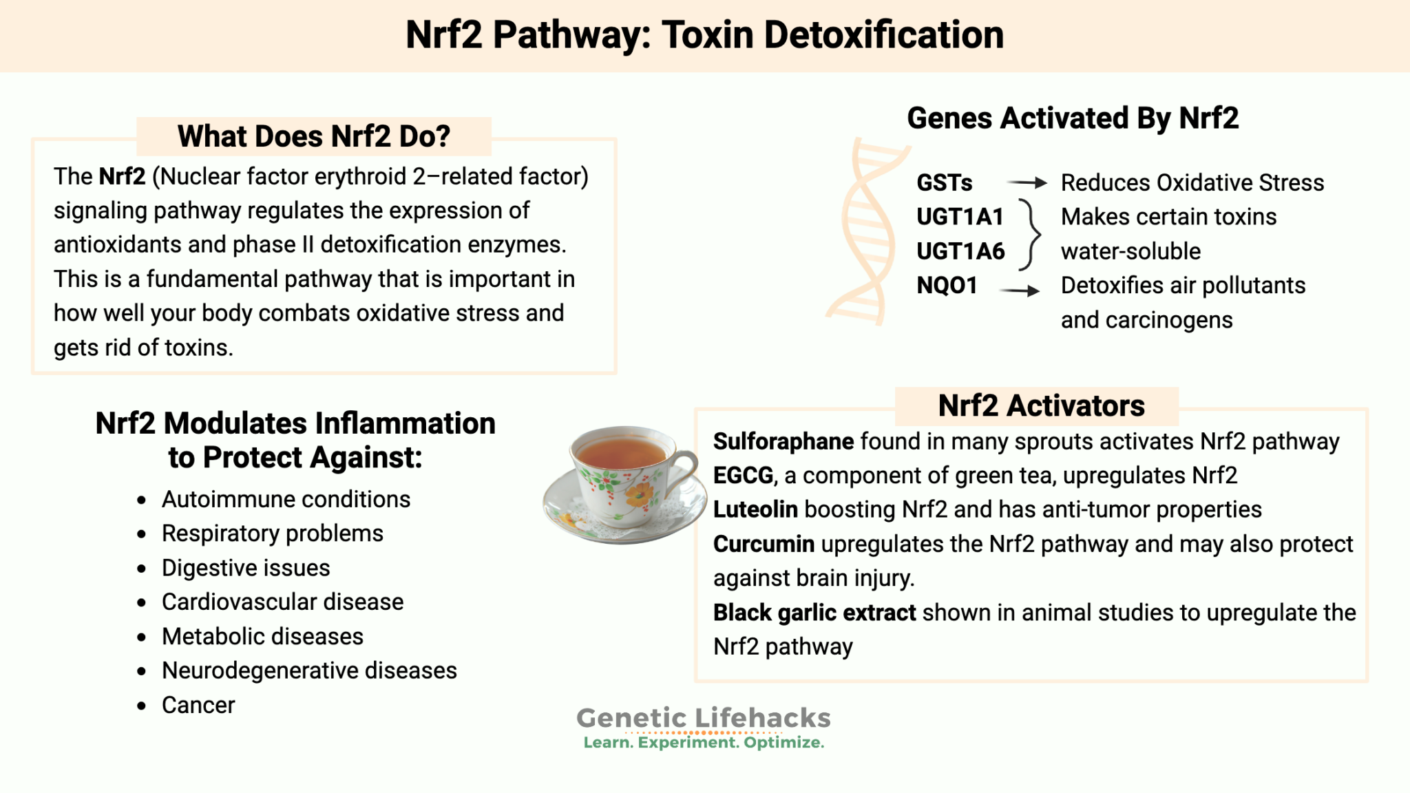 Detoz Injection Phase II detoxification