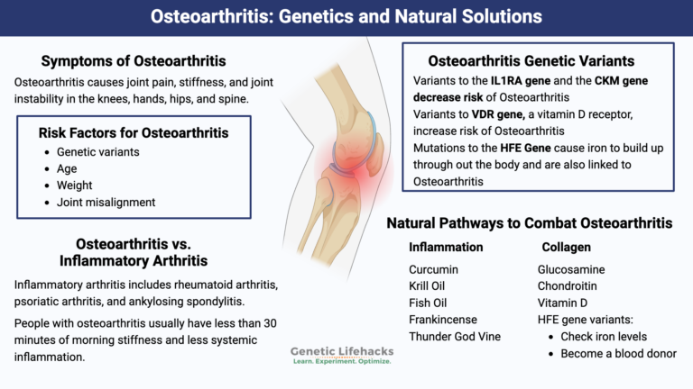 Osteoarthritis And Cartilage: The Role Of Cytokines – ZGURK