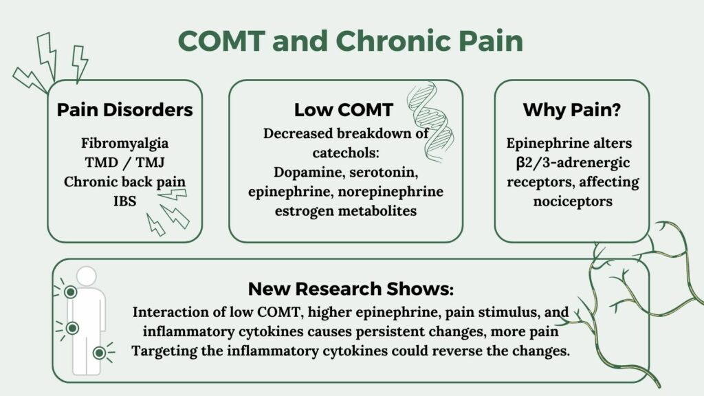 COMT in Pain Disorders
