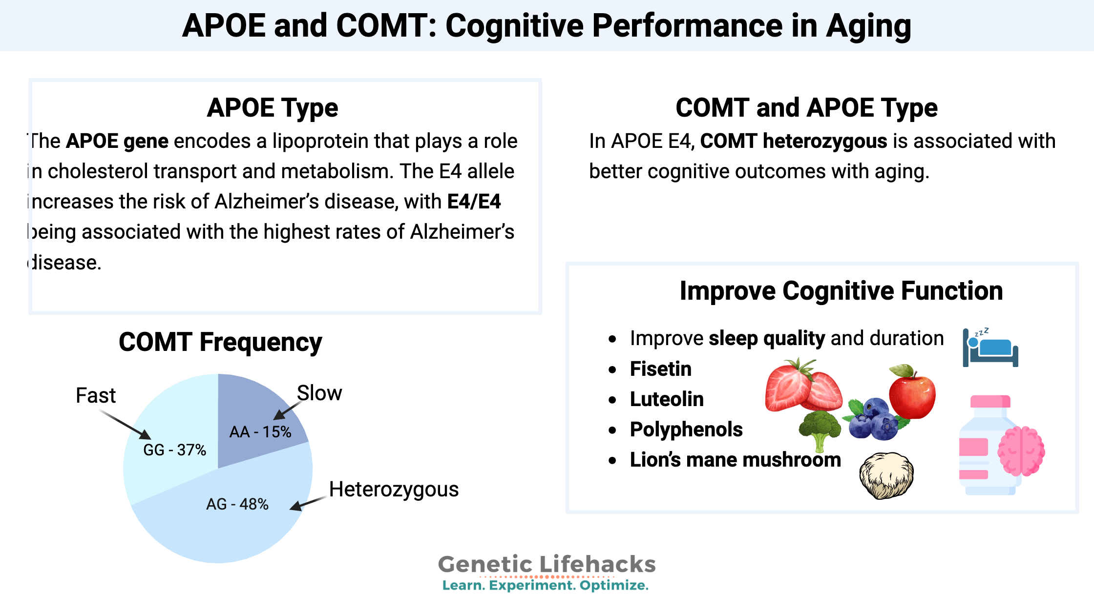 APOE and COMT: Cognitive Performance in Aging