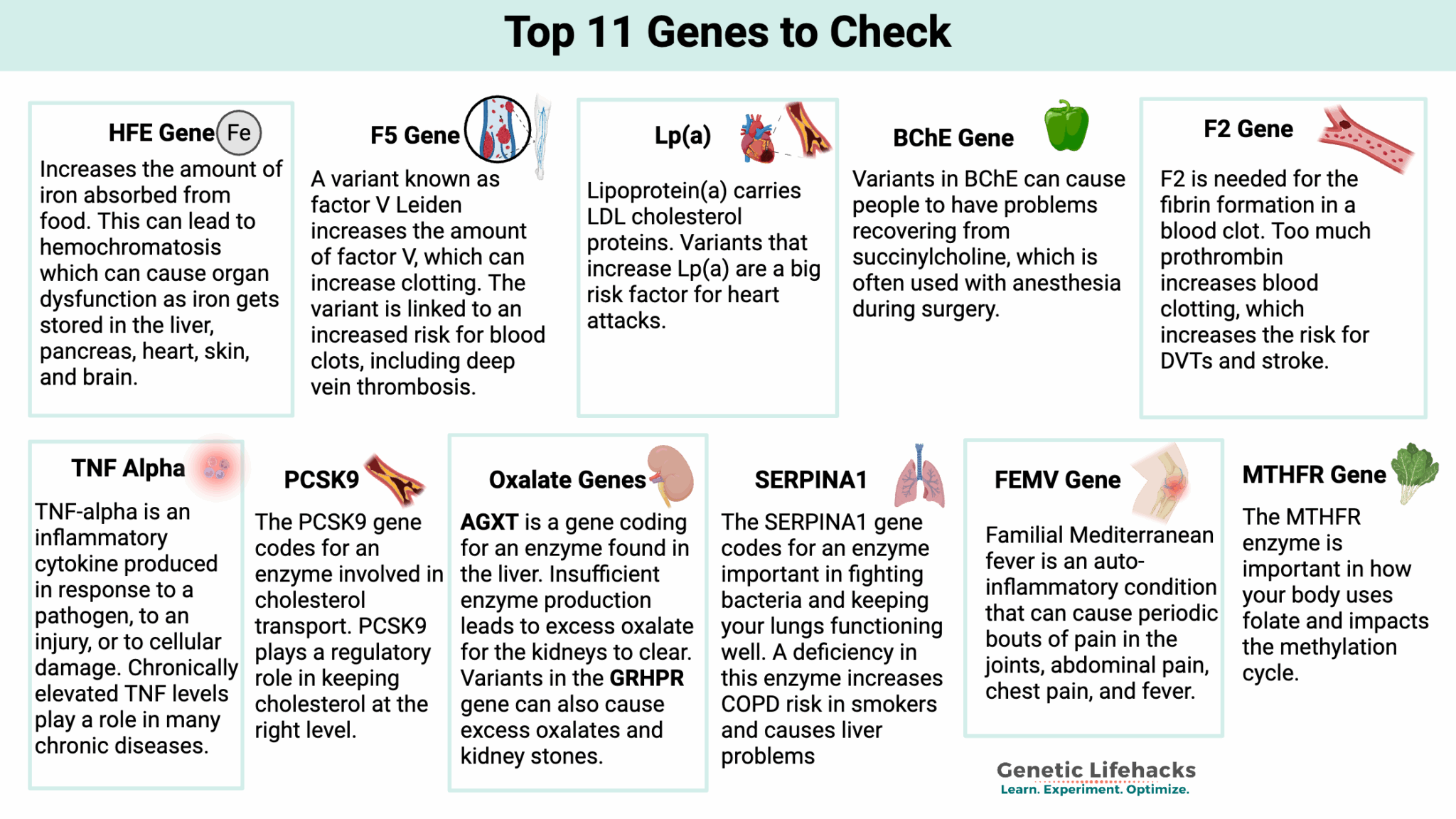 Genetic Diseases and Disease Prevention