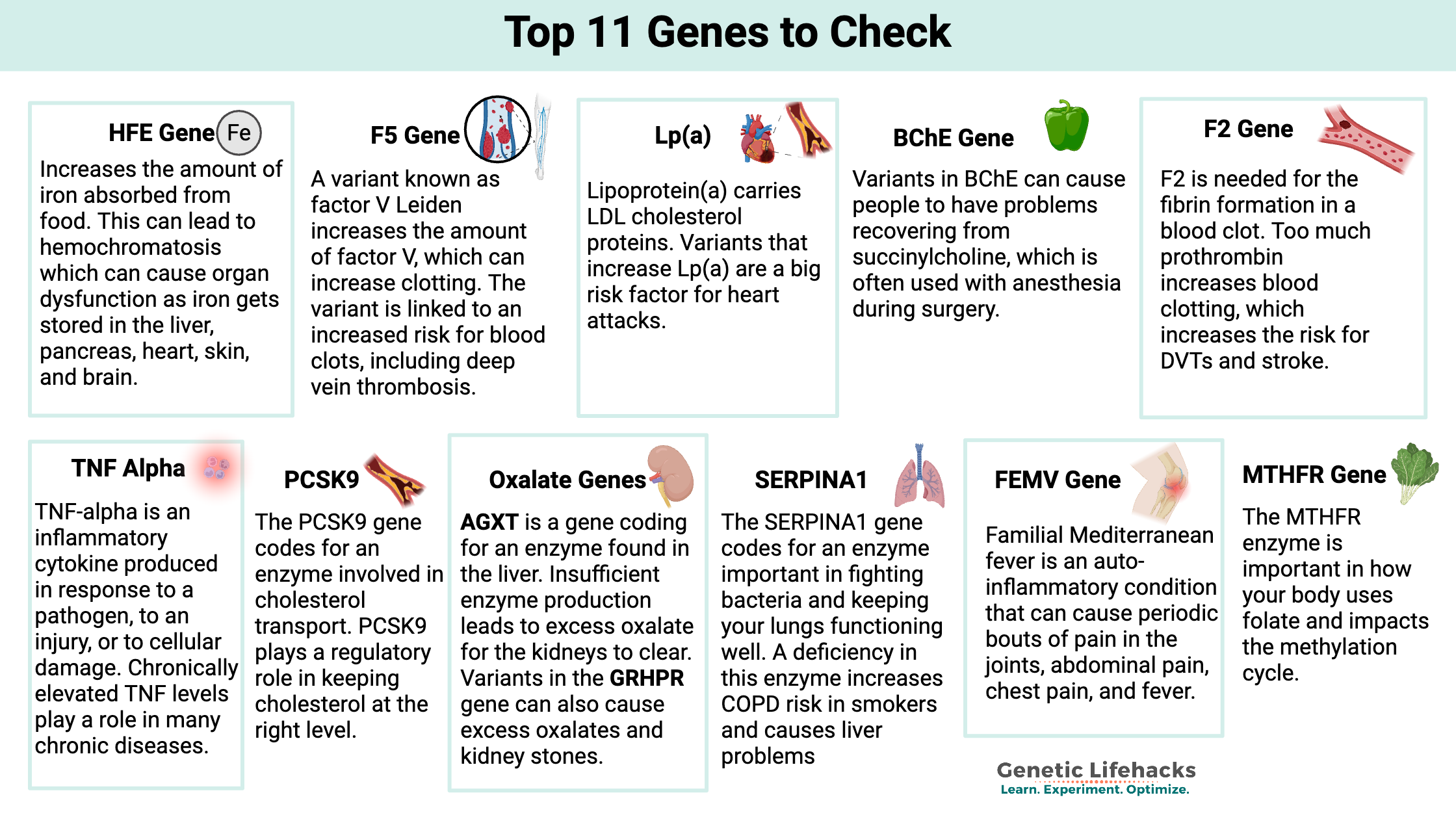 11 important genes to check with 23andMe or Ancestry data