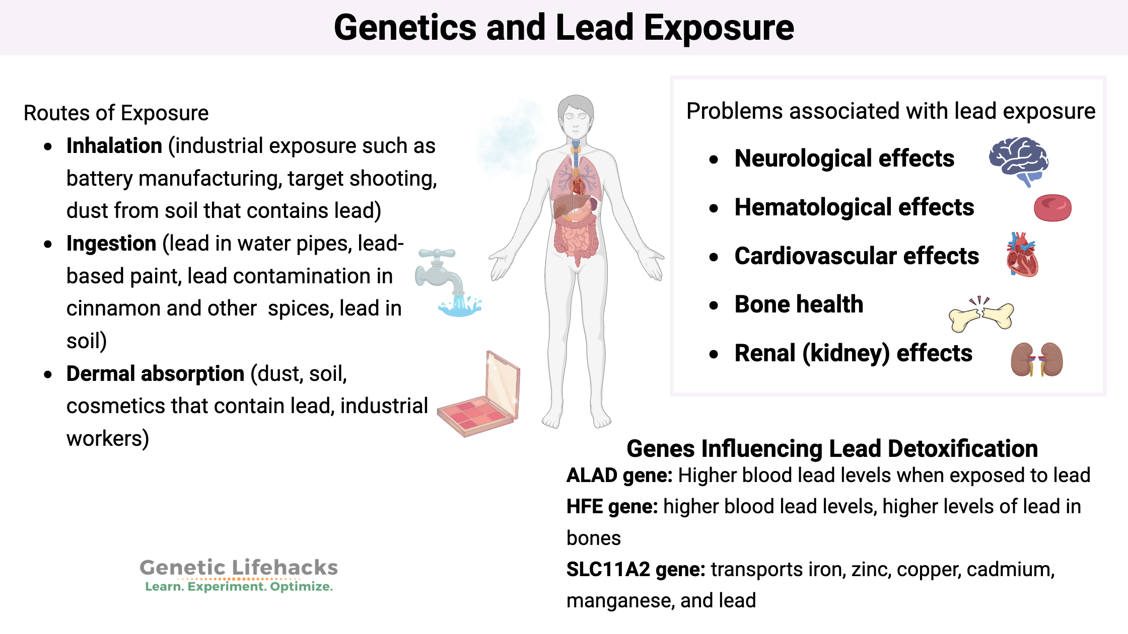 Genetics and Lead Exposure