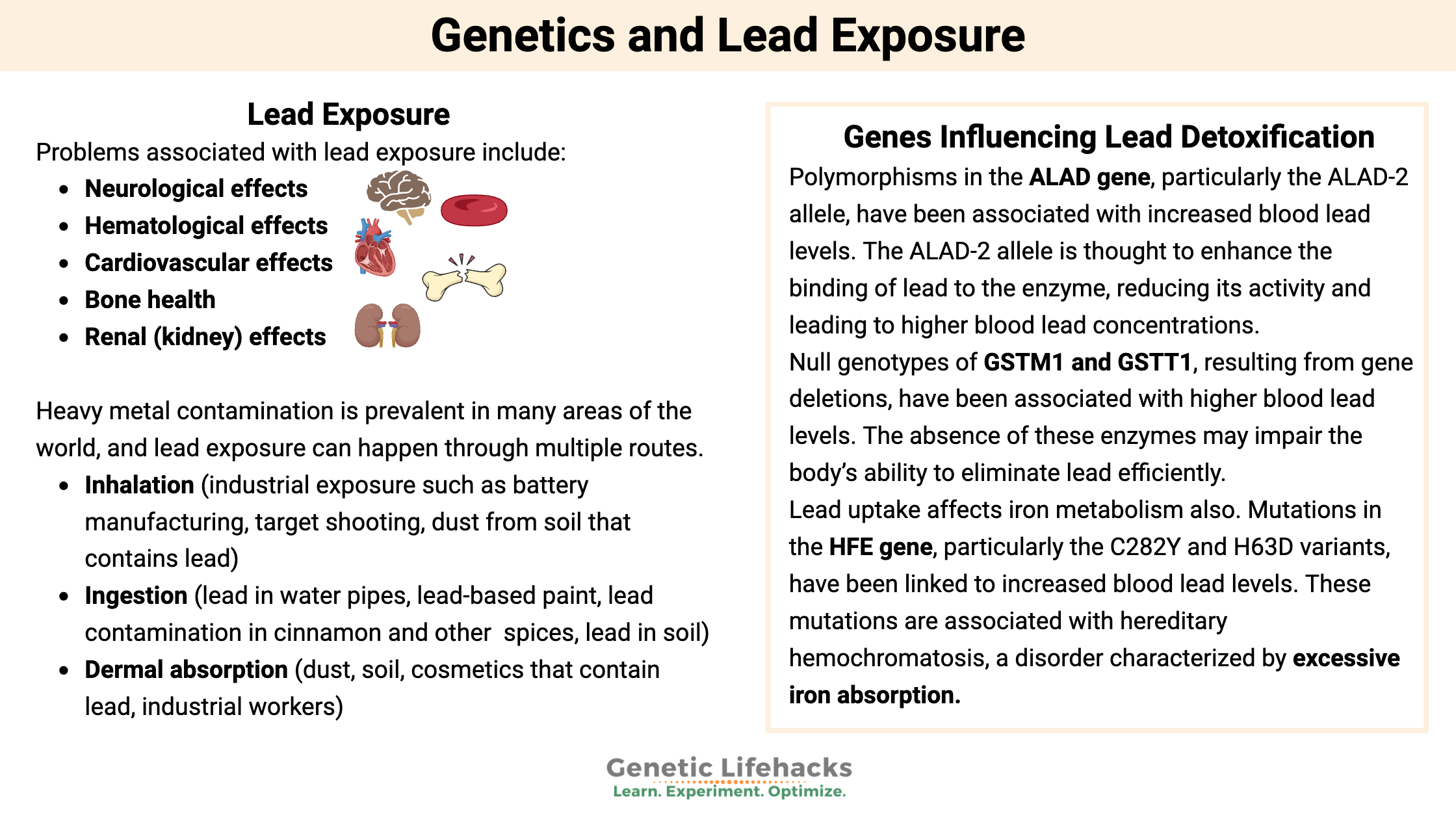 Genetics and Lead Exposure,