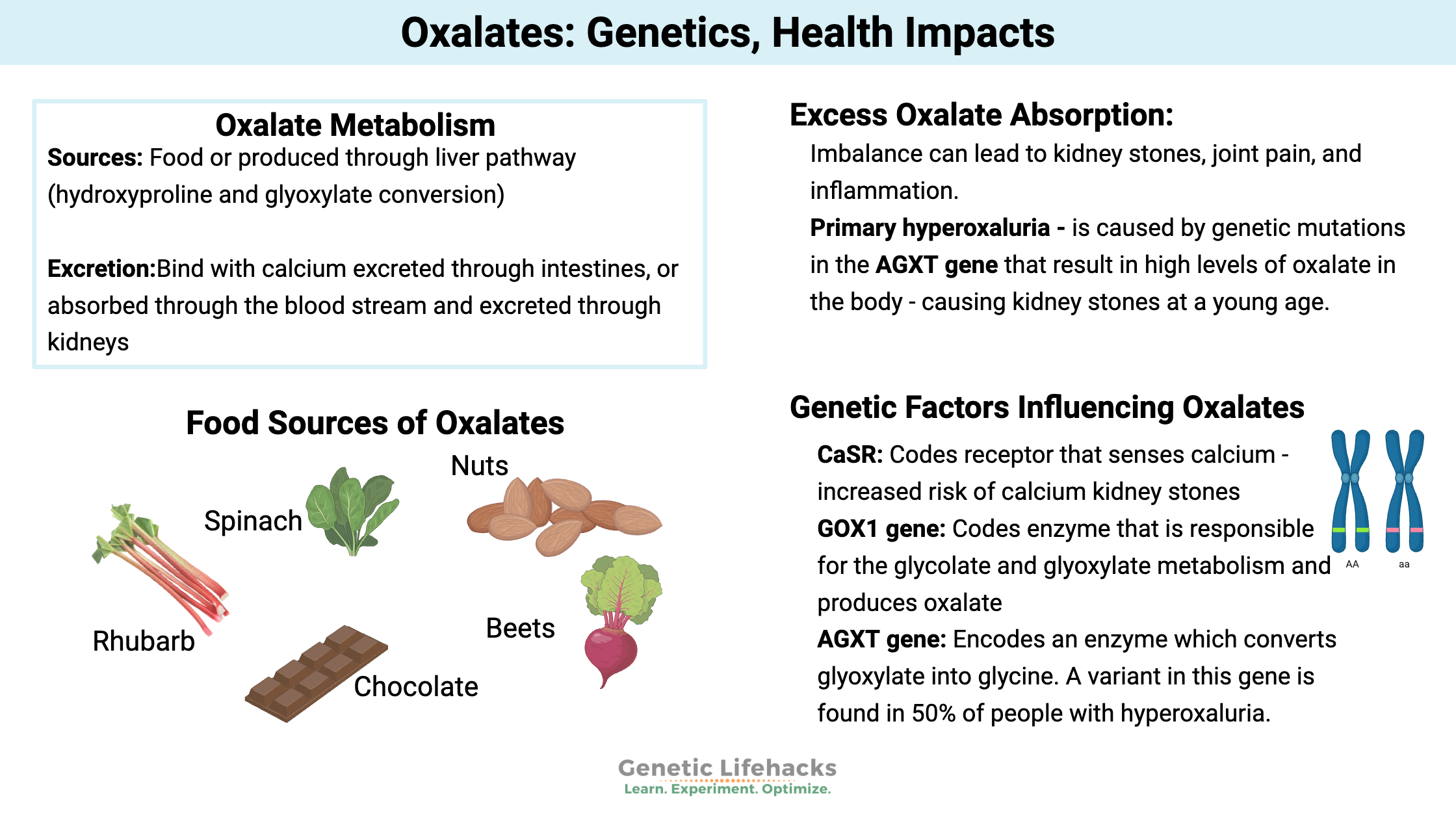 Genetic SNPs that impact oxalates, AGXT gene variants