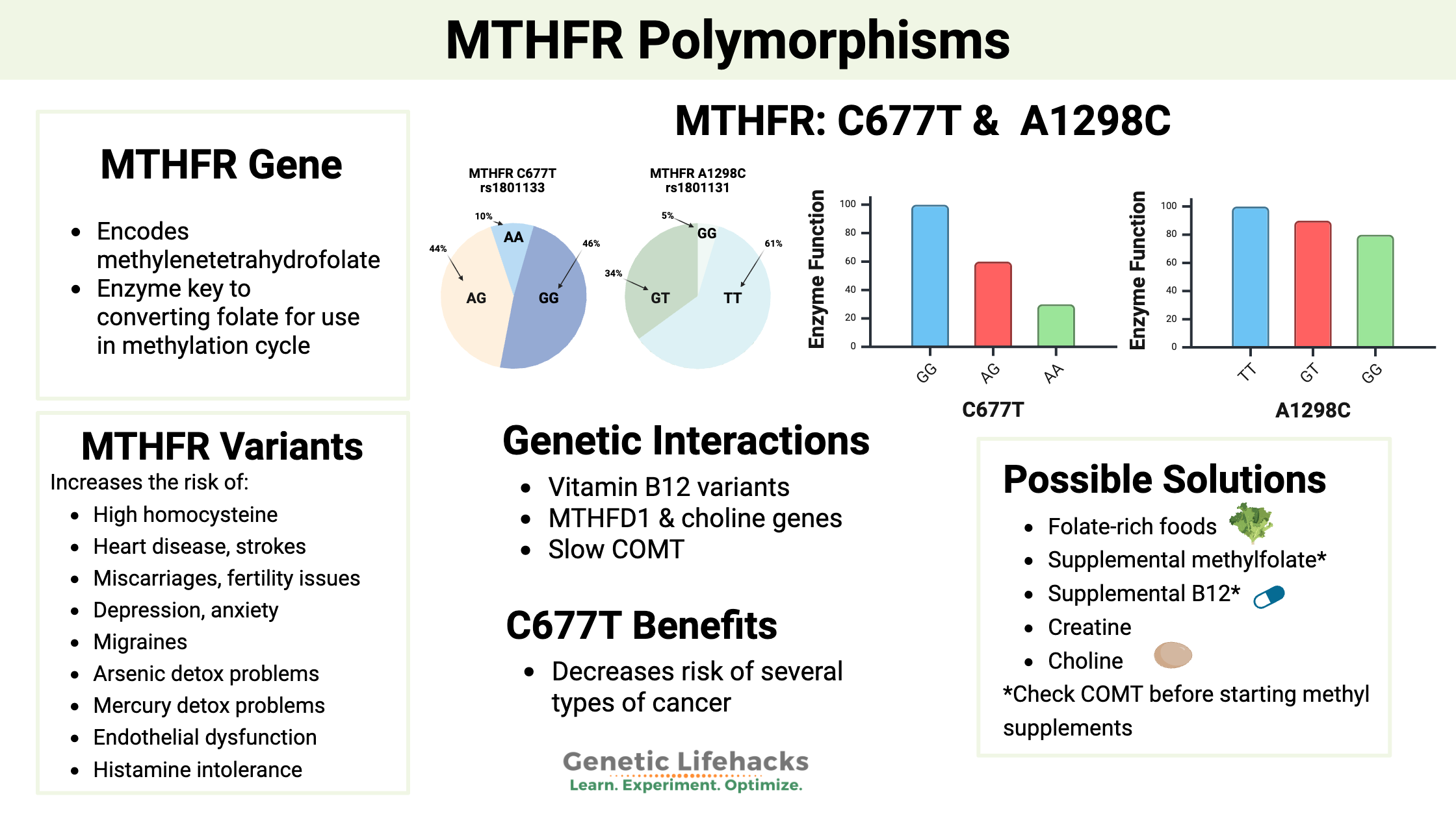 MTHFR mutations explained, frequency of C677T SNP, A1298C SNP, Supplement Interaction, MTHFR variant risks