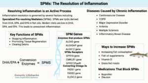 Special Pro-resolving Mediators(SPMs), active resolution of inflammation, genes affecting SPMs, diseases caused by inflammation