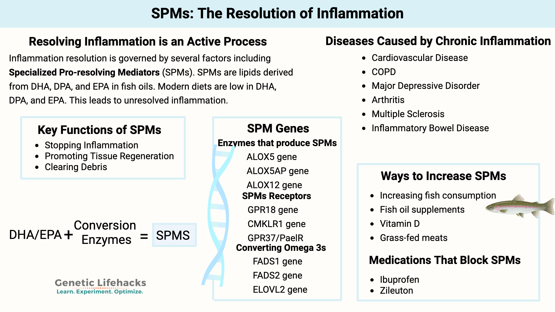 Special Pro-resolving Mediators(SPMs), active resolution of inflammation, genes affecting SPMs, diseases caused by inflammation