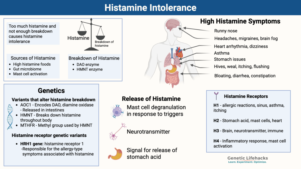 Histamine intolerance symptoms, genetic components, histamine