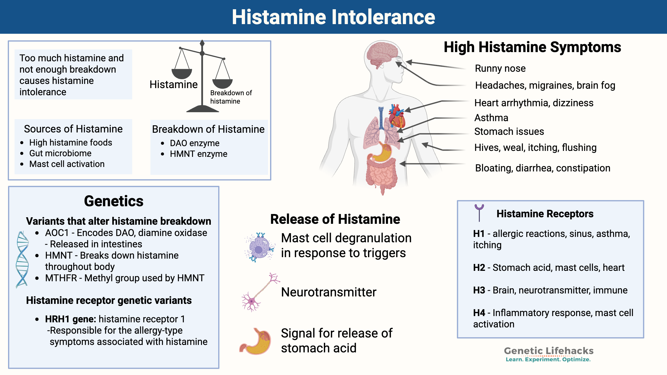 Histamine intolerance symptoms, genetic components, histamine