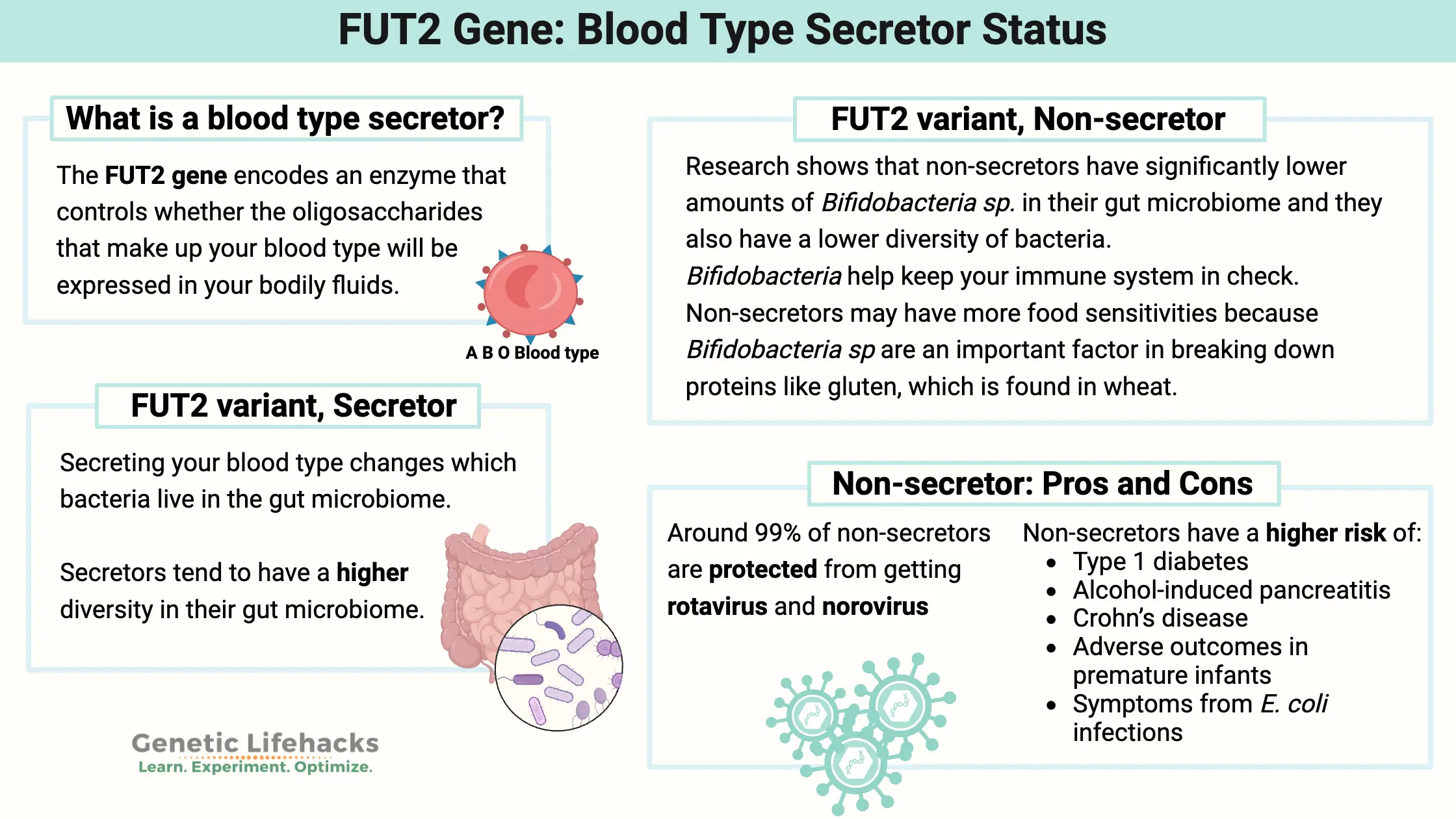 Comparison of secretor and non-secretor status and how FUT2 changes what appears in body secretions