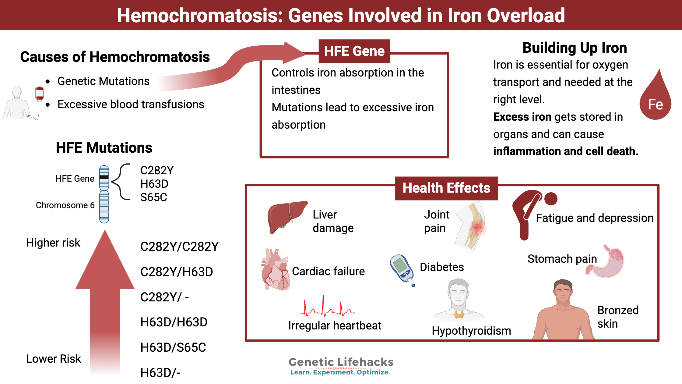 Genetic variants that cause Hemochromatosis, symptoms of Hemochromatosis