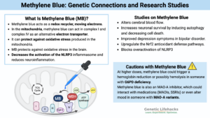 Methylene Blue: Genetic Connections and Research Studies