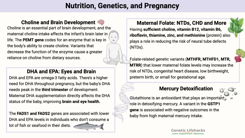 Nutrition, Genetics, and Pregnancy