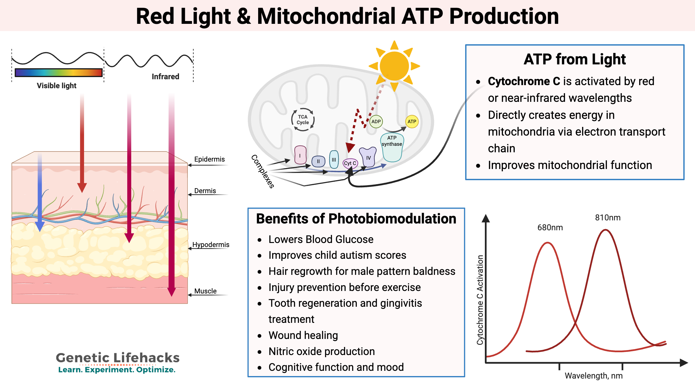 Photobiomodulation, clinical trials, atp - graphical abstract