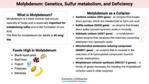 Molybdenum: Genetics, Sulfur metabolism, and Deficiency