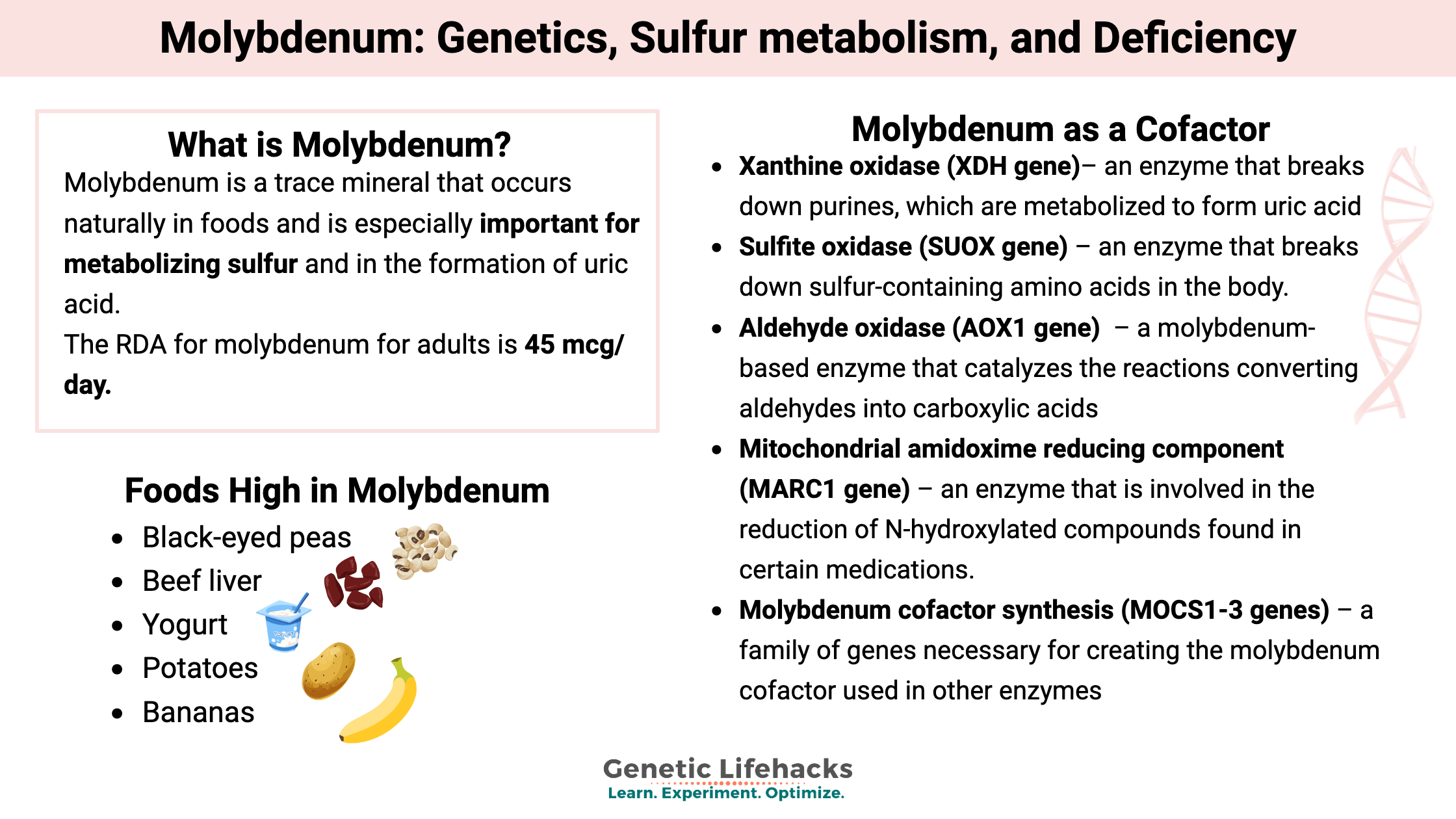 Molybdenum: Genetics, Sulfur metabolism, and Deficiency