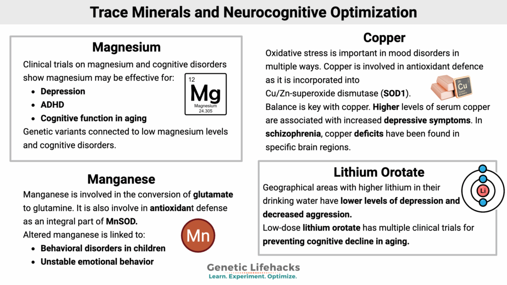 Trace Minerals and Neurocognitive Optimization