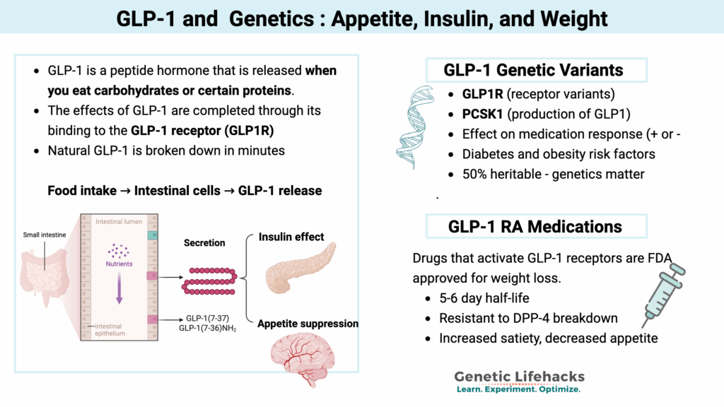 GLP-1 Weight Loss Appetite, Insulin, and Genetics