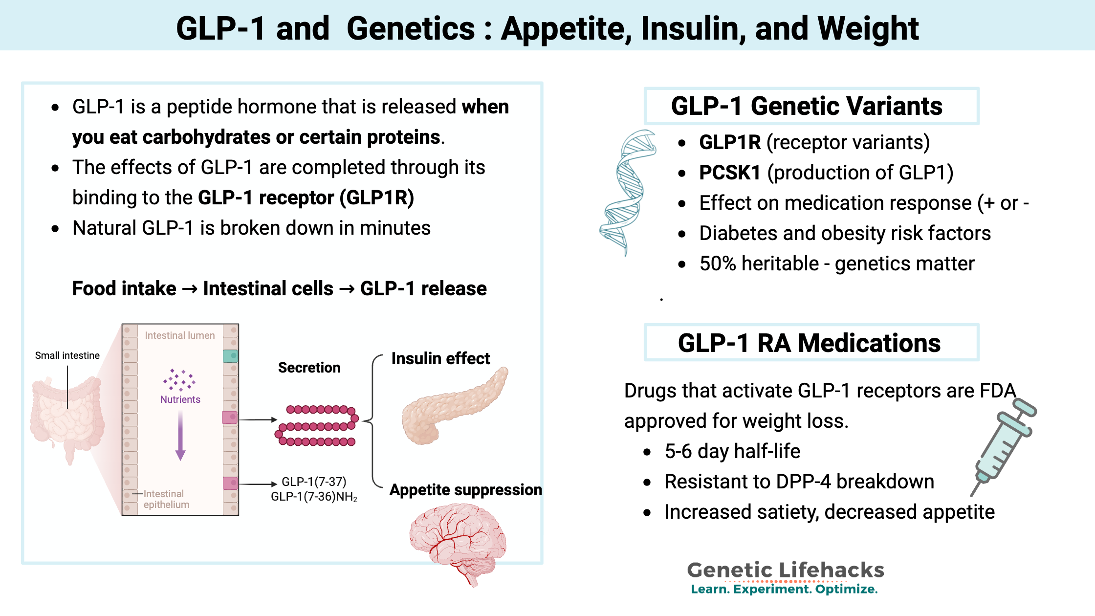 GLP-1 Weight Loss Appetite, Insulin, and Genetics