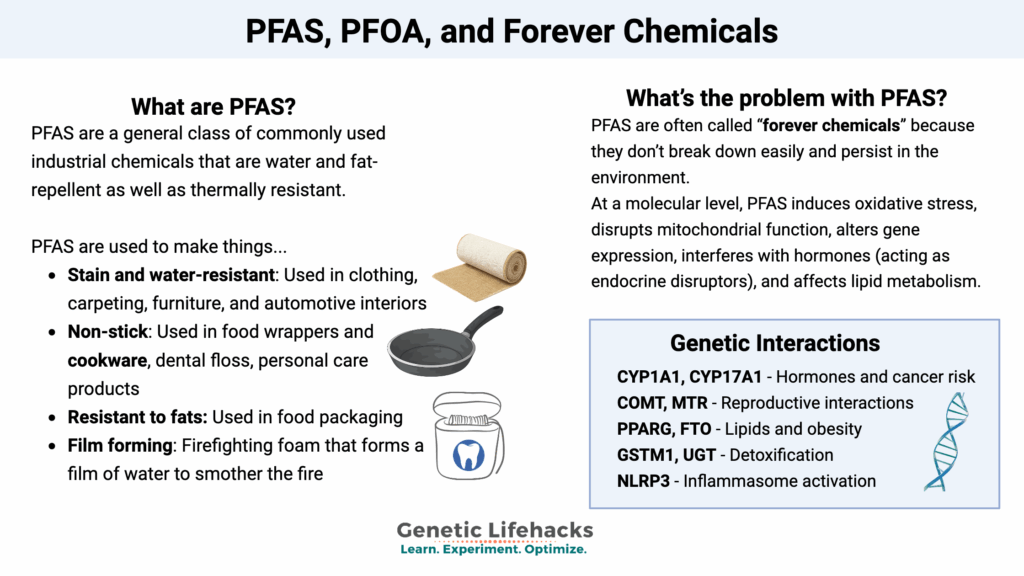 PFAS and Your Health: From Fertility to Cancer Risk