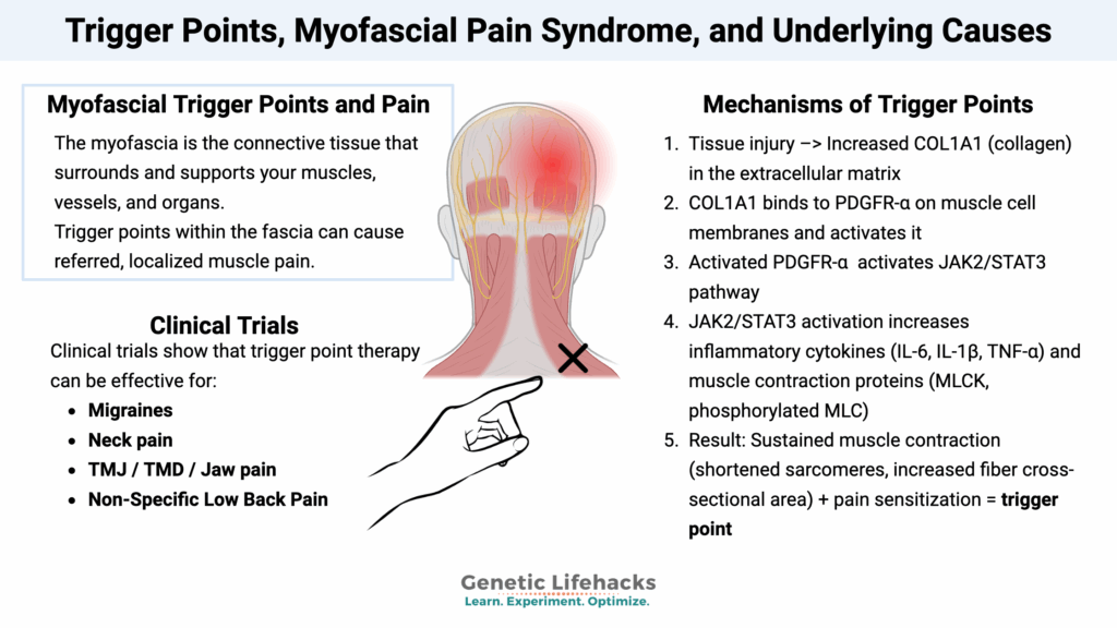 Trigger Points, Myofascial Pain Syndrome, and Underlying Causes