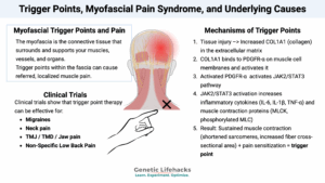 Trigger Points, Myofascial Pain Syndrome, and Underlying Causes