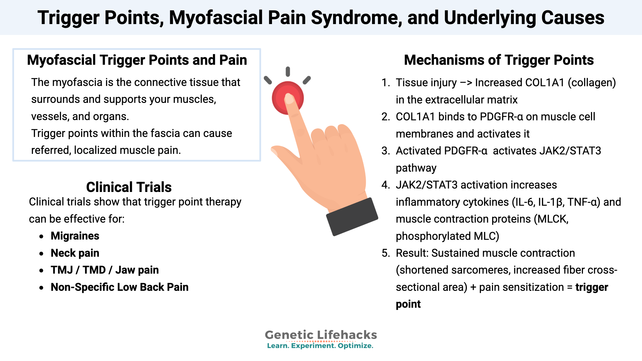 Trigger Points, Myofascial Pain Syndrome, and Underlying Causes