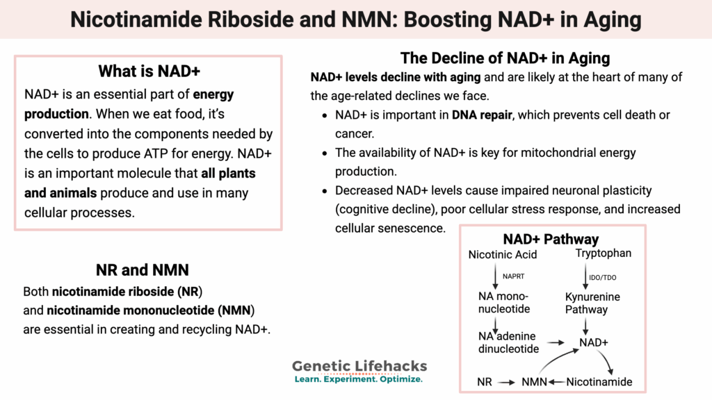 Nicotinamide riboside and NMN - Boosting NAD+ in aging