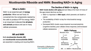 Nicotinamide riboside and NMN - Boosting NAD+ in aging