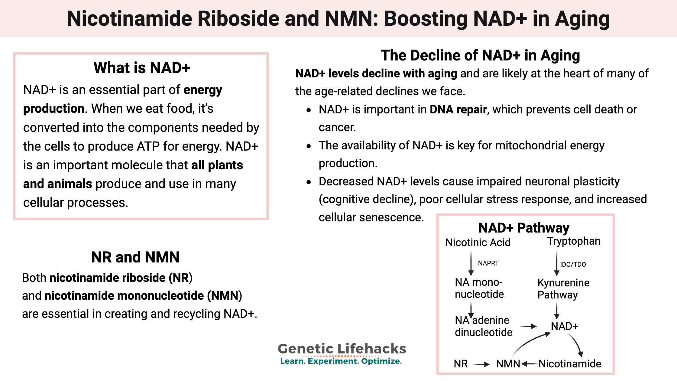 Nicotinamide riboside and NMN - Boosting NAD+ in aging
