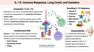 IL-15: Immune Response, Long Covid, and Genetics