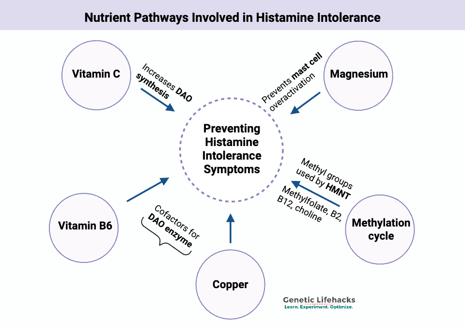 glutathione for histamine intolerance Intolerance: Genetic Report, Supplements, and Real Solutions Switching from pellets to nebulizer Size:500ML