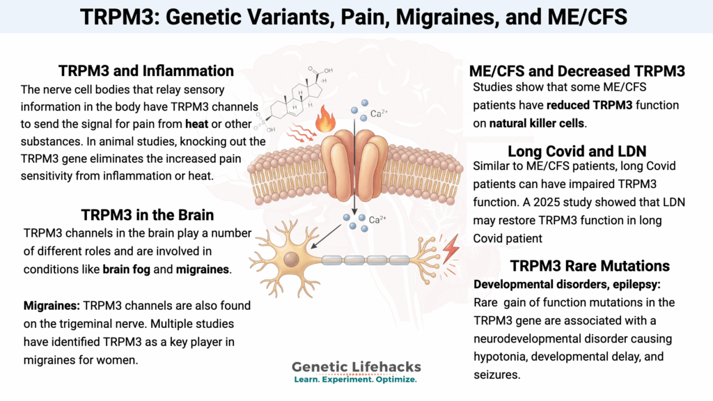 graphical abstract -TRPM3 genetic variants ME/CFS, long Covid