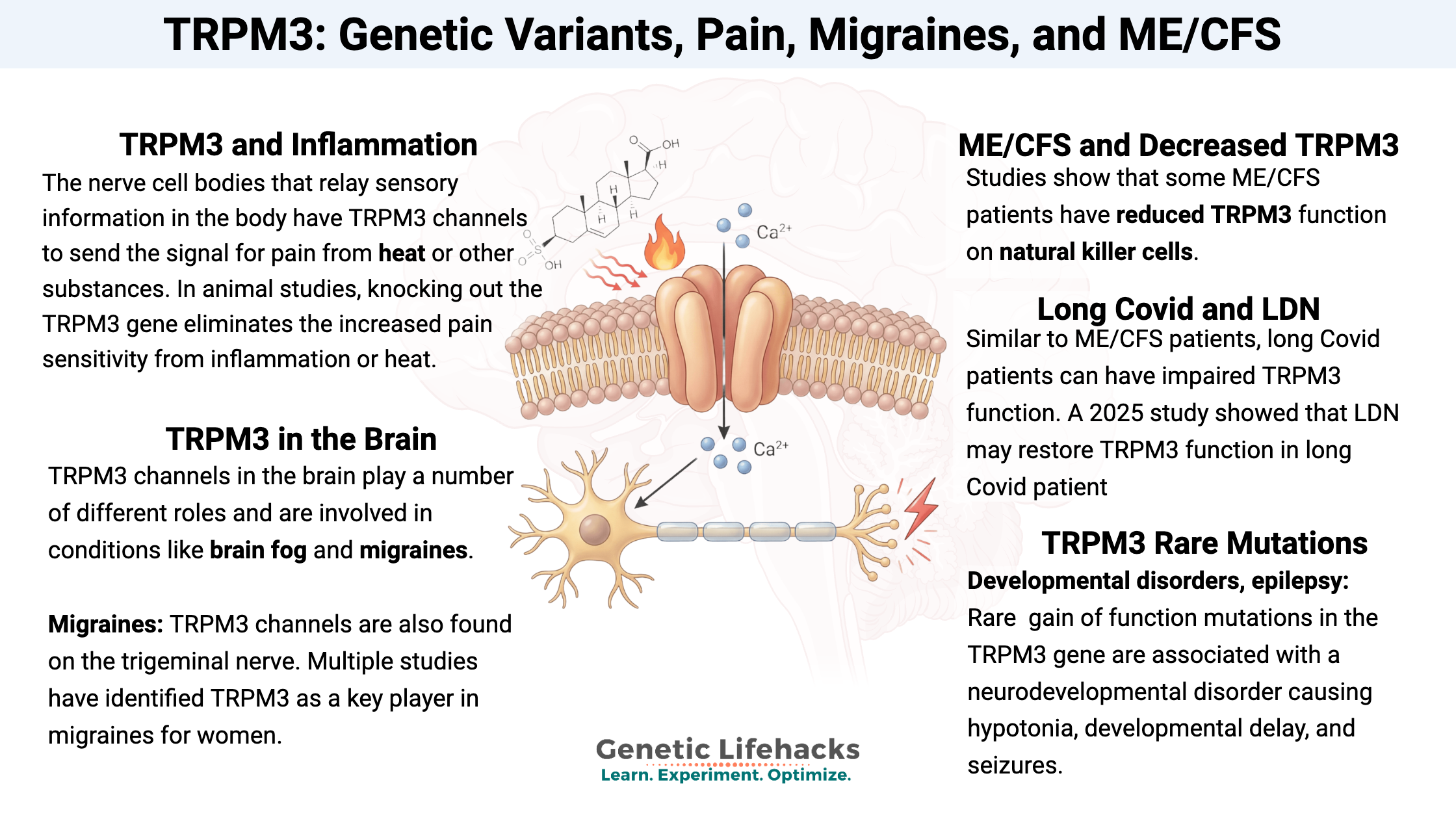 graphical abstract -TRPM3 genetic variants ME/CFS, long Covid