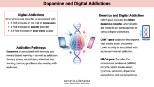 Dopamine and Digital Addictions